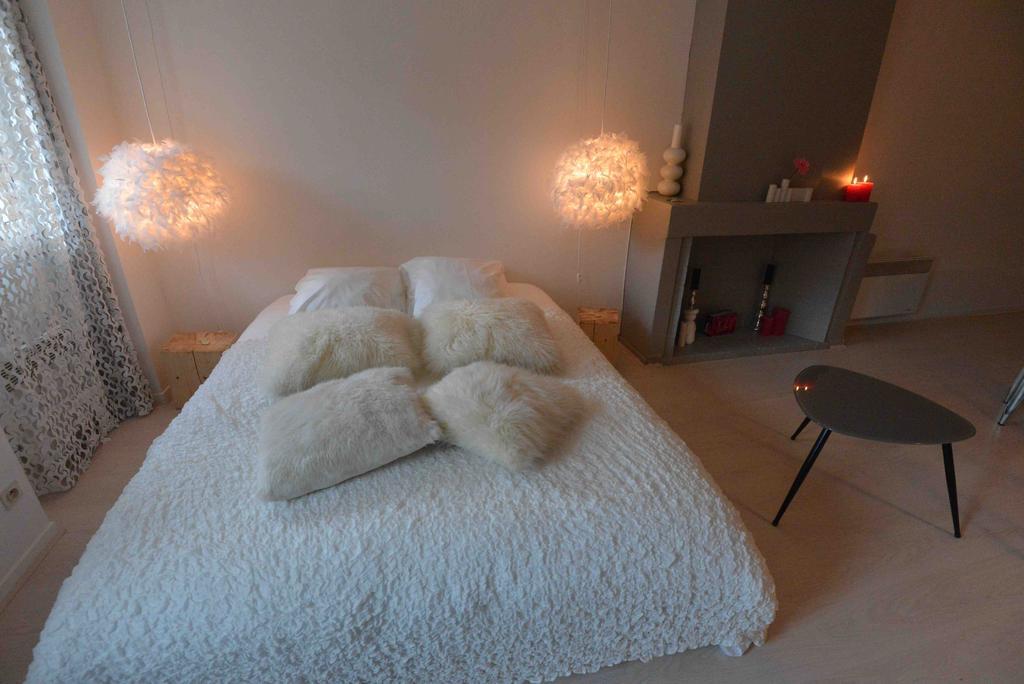 Апартаменты "Un Lieu Unique" Le Cozy Анси Номер фото